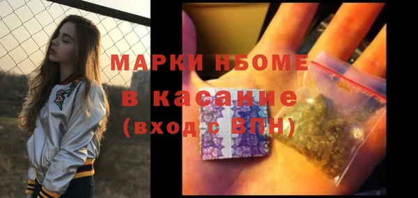 метадон Алексин