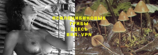 кокс Алексеевка